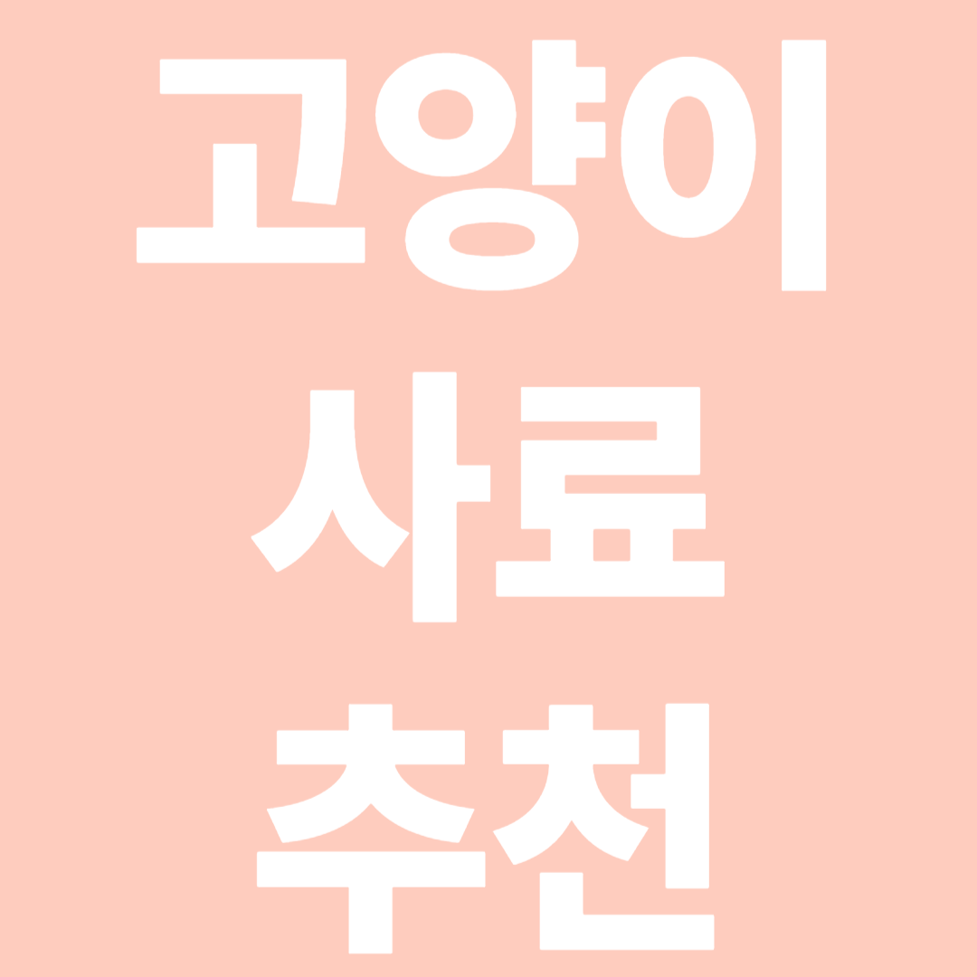 고양이 사료추천 사진