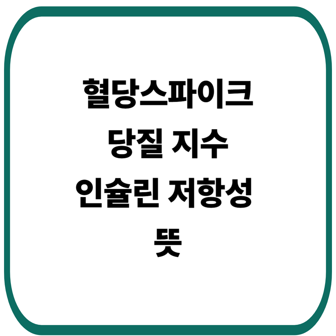혈당스파이크, 당질 지수, 인슐린 저항성 뜻