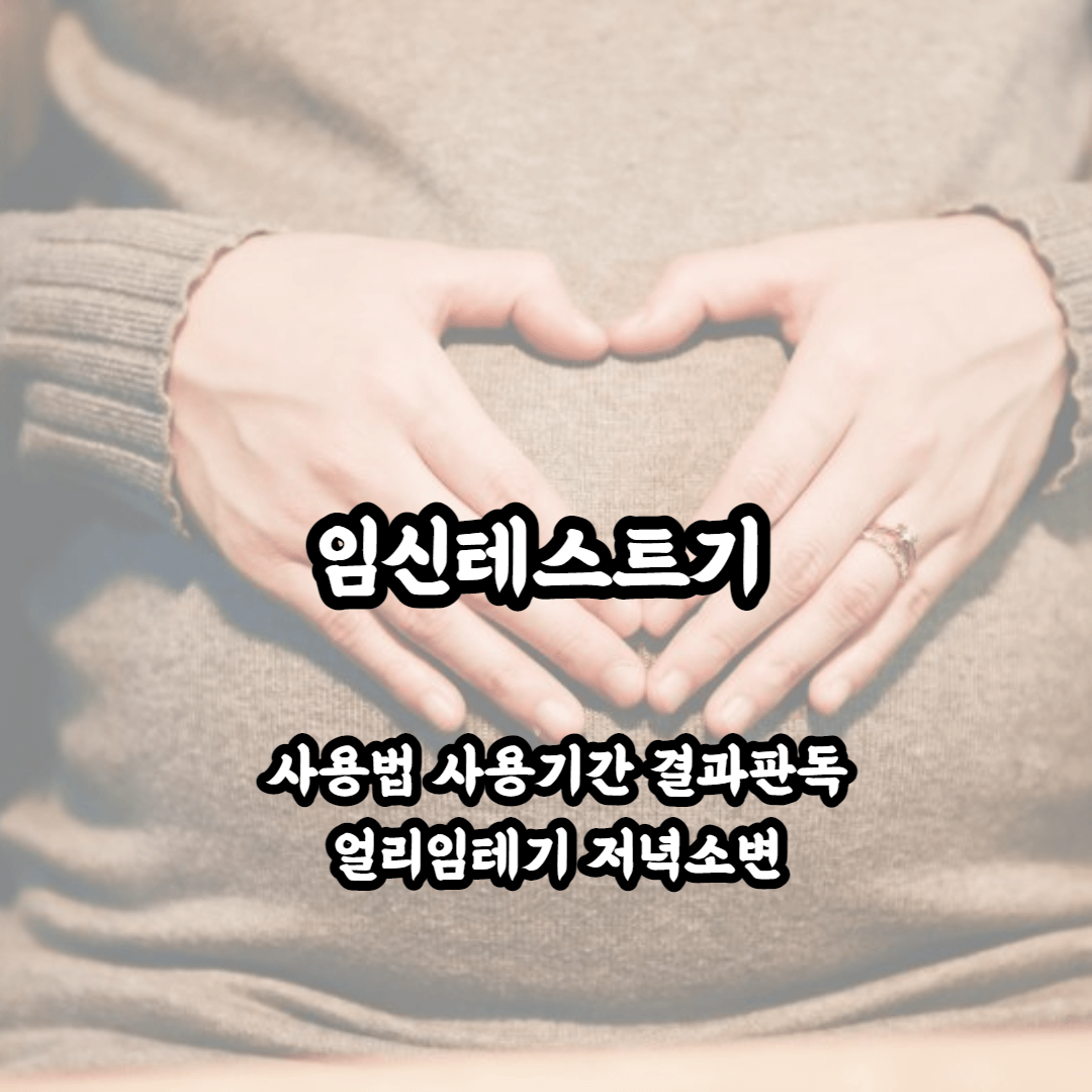 임테기 임신테스트기 사용법 사용시기 얼리임테기 결과 판독 저녁 소변 사용 여부