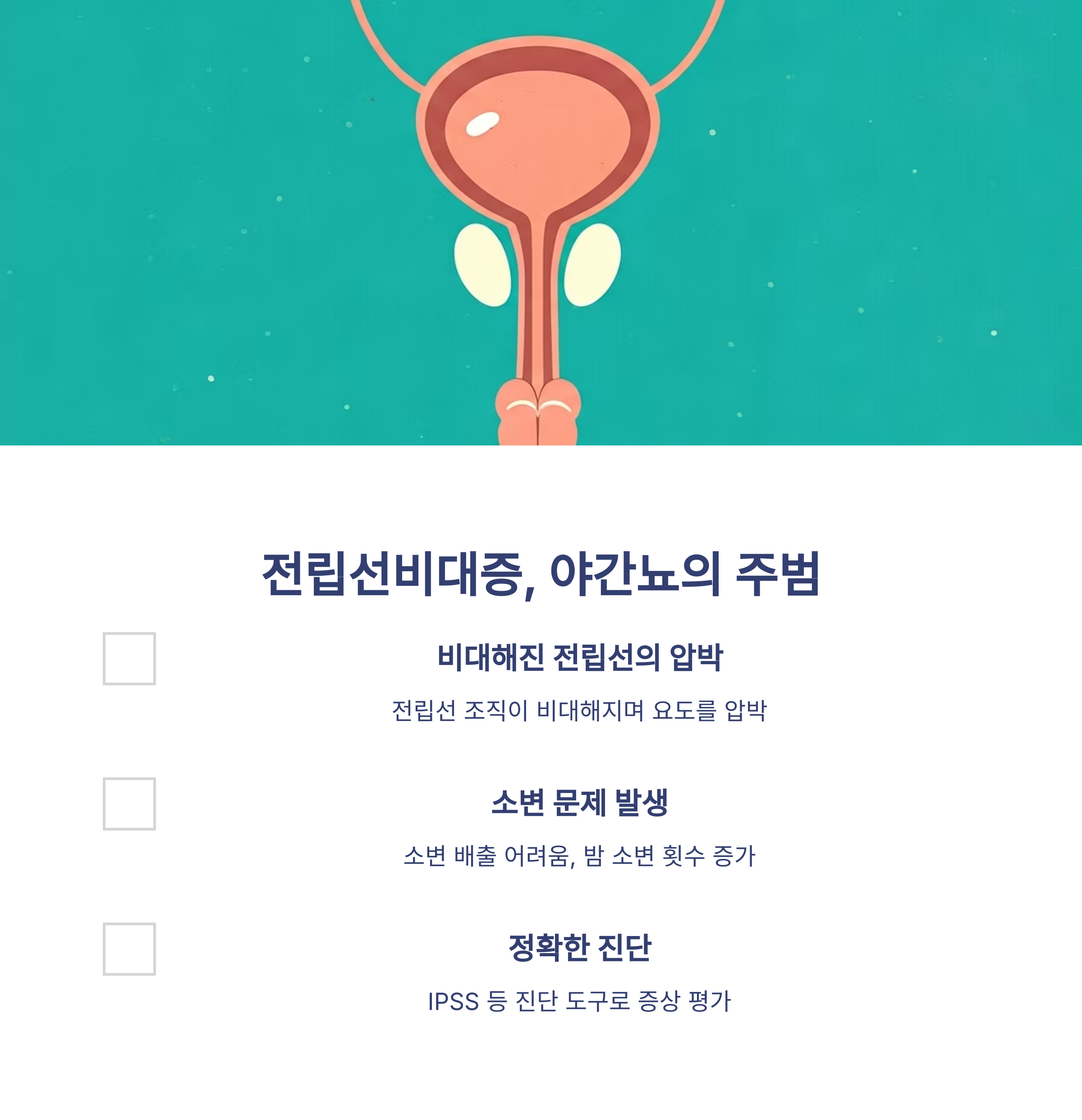 전립선비대증과 야간뇨의 원인과 메커니즘 설명 이미지