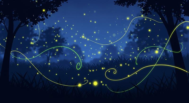 반딧불이는 어떻게 스스로 빛을 낼까? 생물 발광의 원리