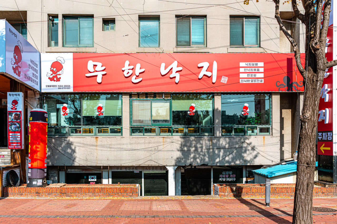 생생정보통 산낙지전골 낙지보쌈 인천 계양구