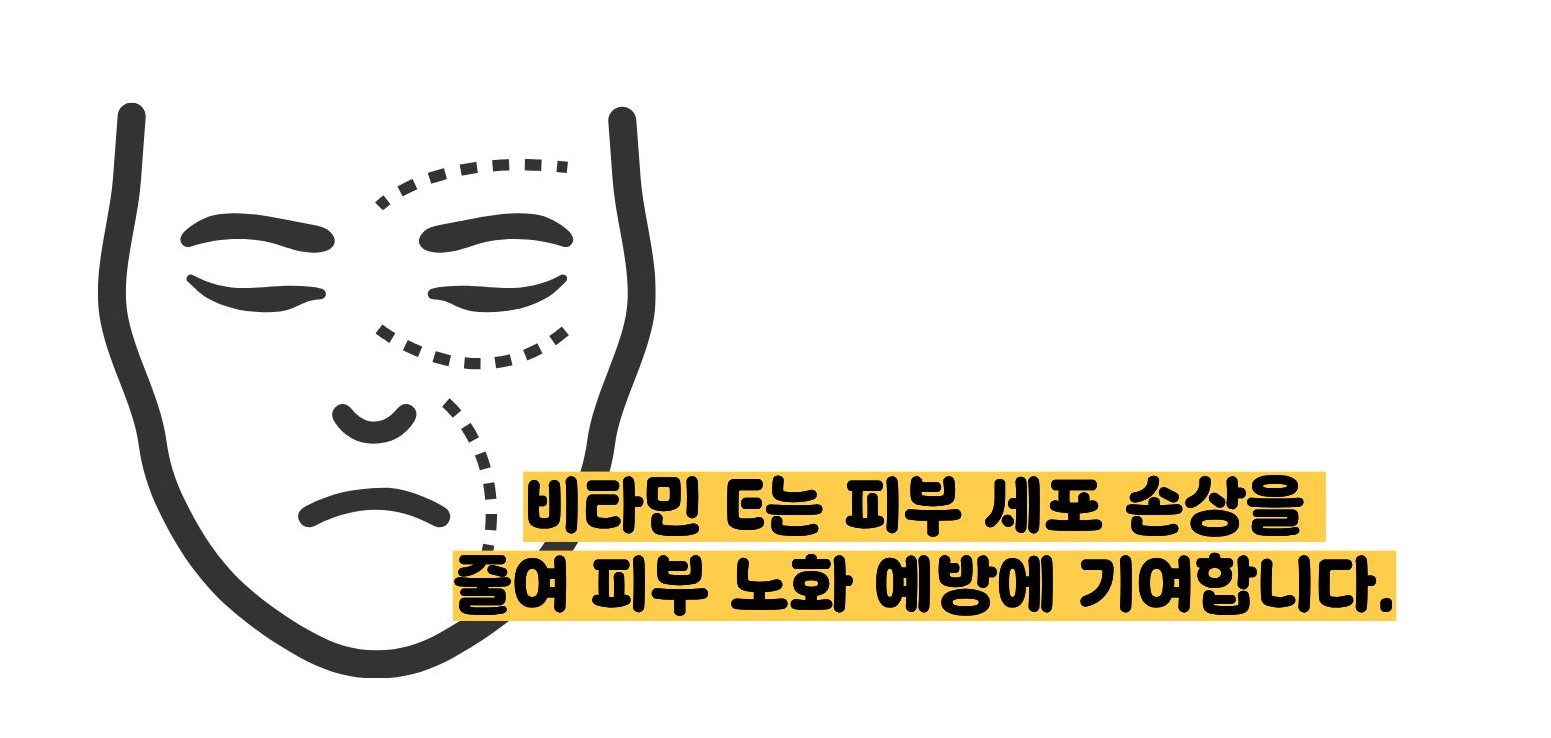 비타민e의 효능