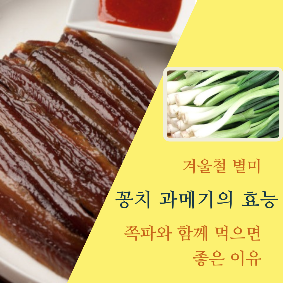 겨울철 별미 꽁치 과메기의 효능과 쪽파와 함께 먹으면 좋은 이유