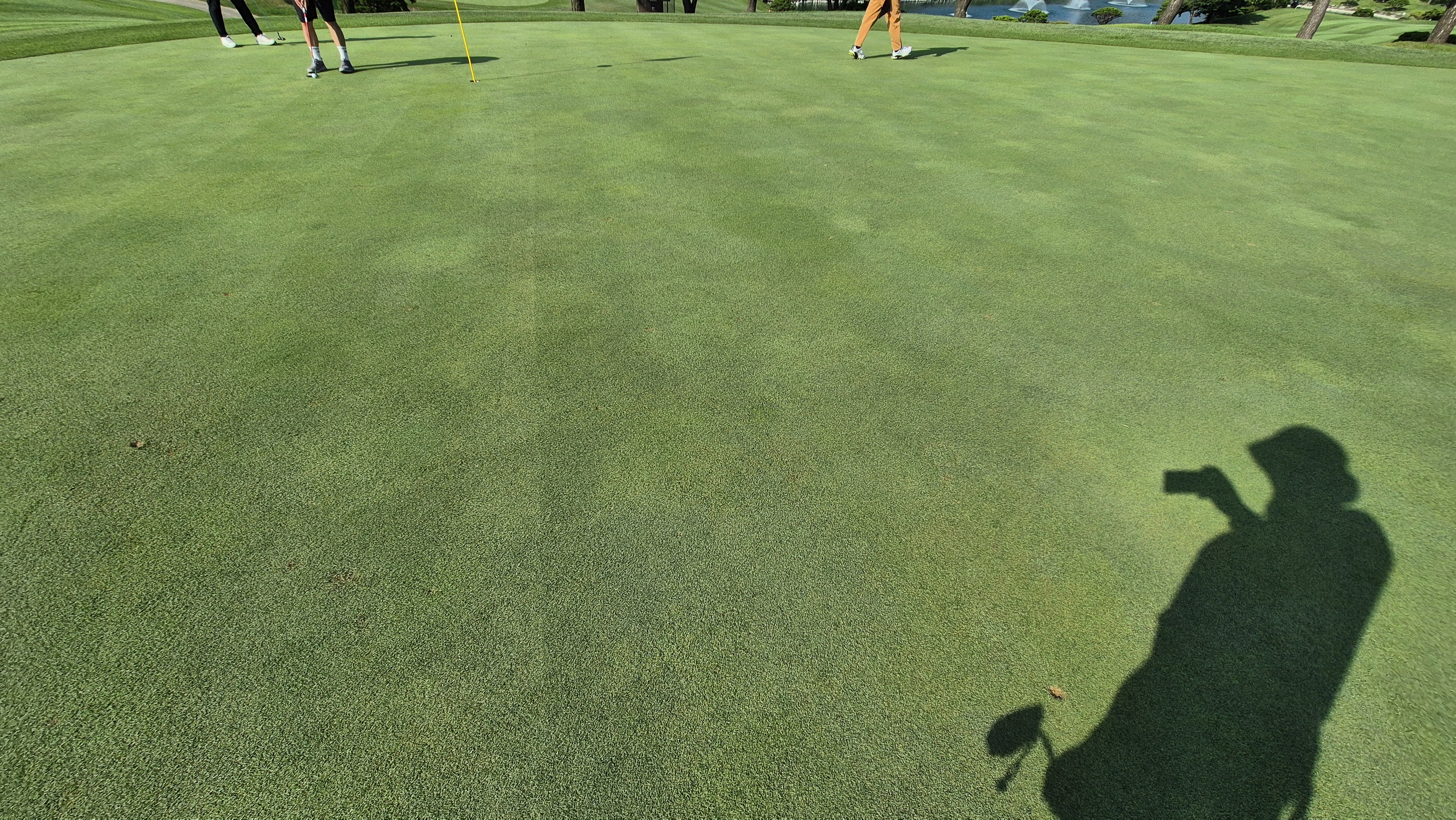 태광cc 북-서 코스 라운드 후기