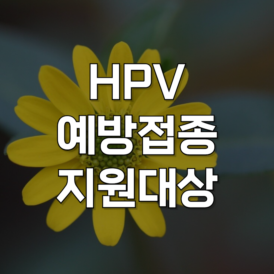 자궁경부암 예방! HPV 백신 무료 접종 대상자 지금 확인하기