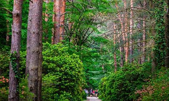 무장애 접근성이 우수한 국립수목원