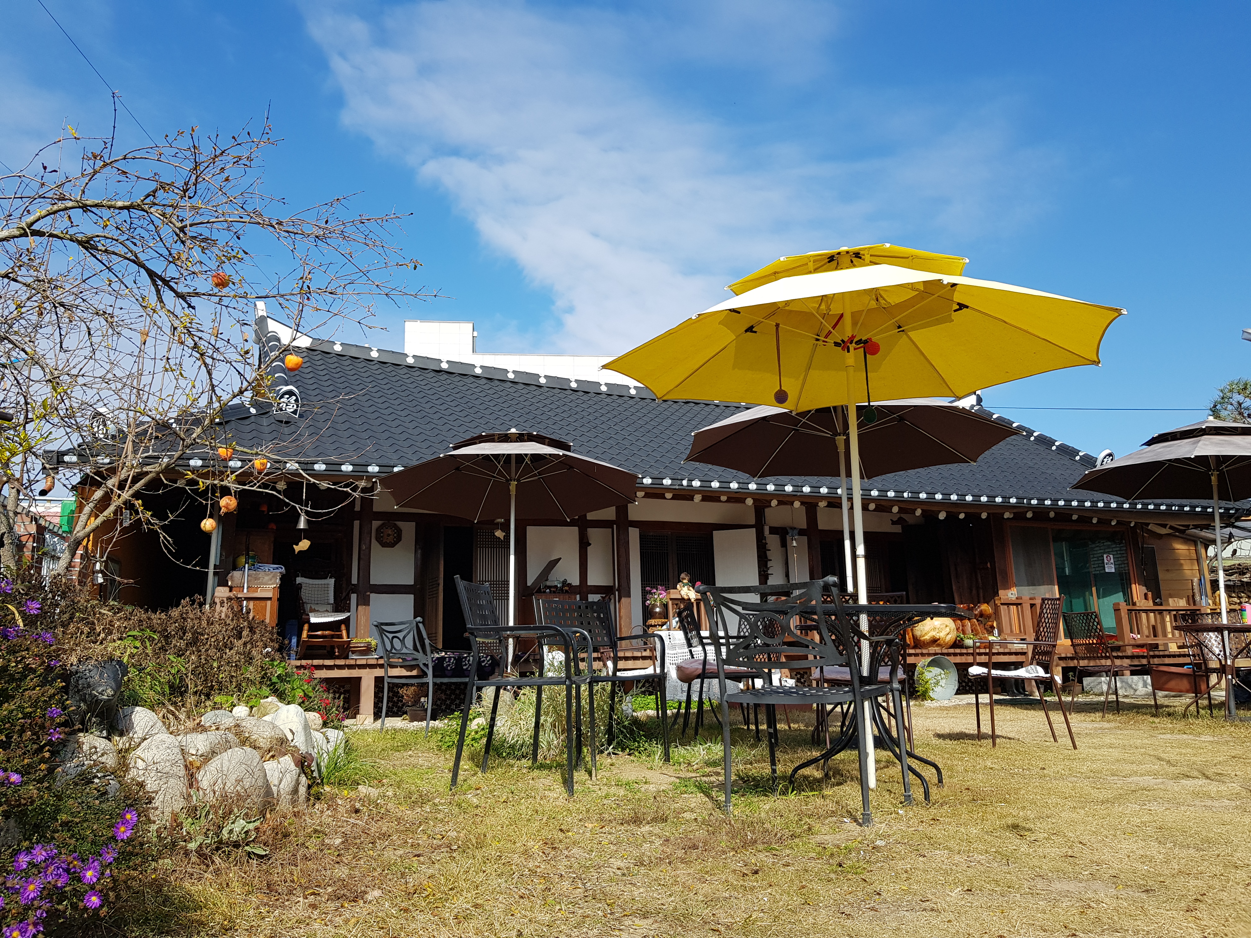 cafe 우리집