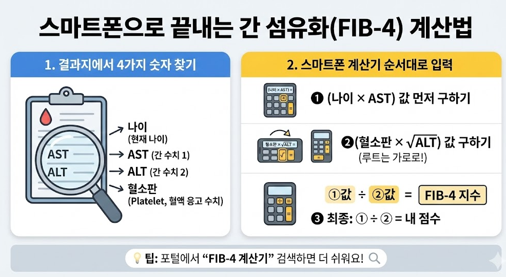 스마트폰으로 FIB-4 지수를 계산하는 방법을 단계별로 설명한 인포그래픽