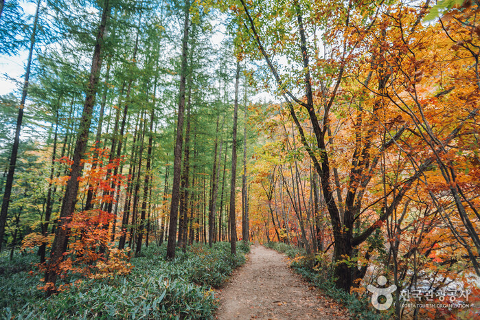 가을 여행지 단풍 놀이 추천 장소