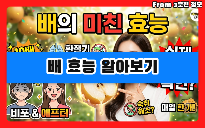 배 효능 알아보기