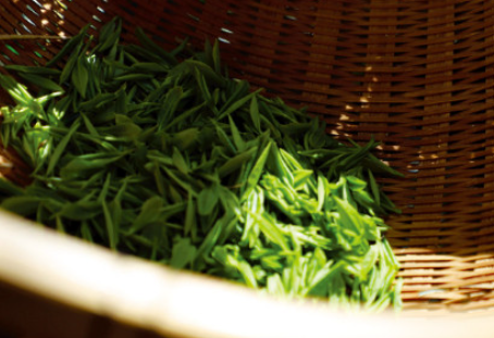 백운차실 택배 주문방법