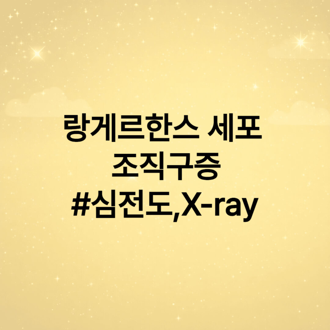 랑게르한스 심전도, 엑스레이