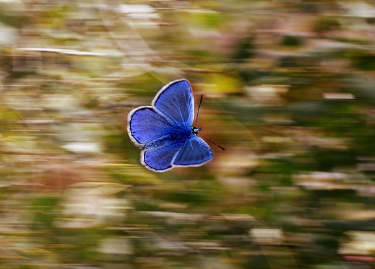 제21대 대통령선거 사전투표소