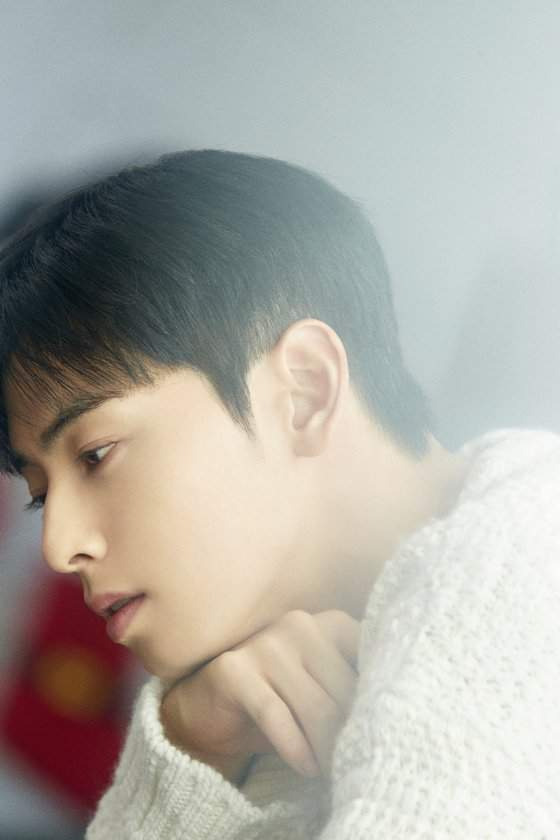 차은우 130억 추징금 폭탄 터진 진짜 이유, 경기 강화도 1인 기획사 편법 감면 논란과 국세청 세무조사 핵심 총정리