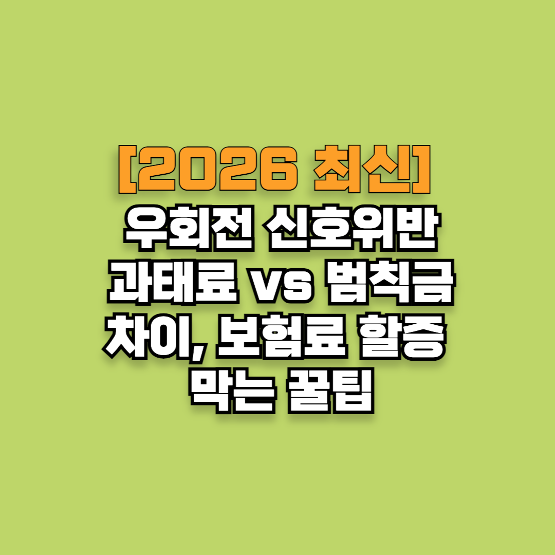 [2026 최신] 우회전 신호위반 과태료 vs 범칙금 차이, 보험료 할증 막는 꿀팁