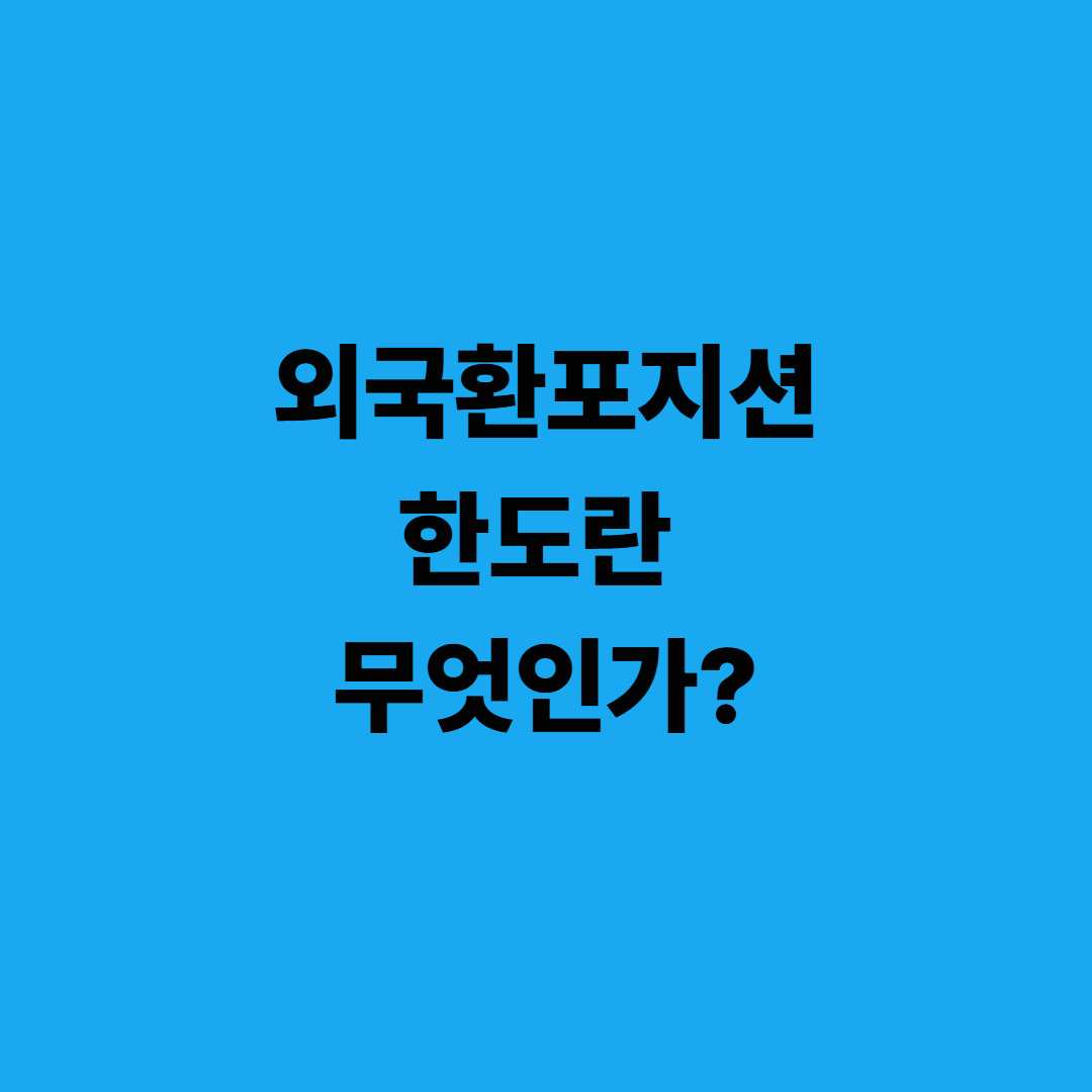 외국환포지션한도란 무엇인가?