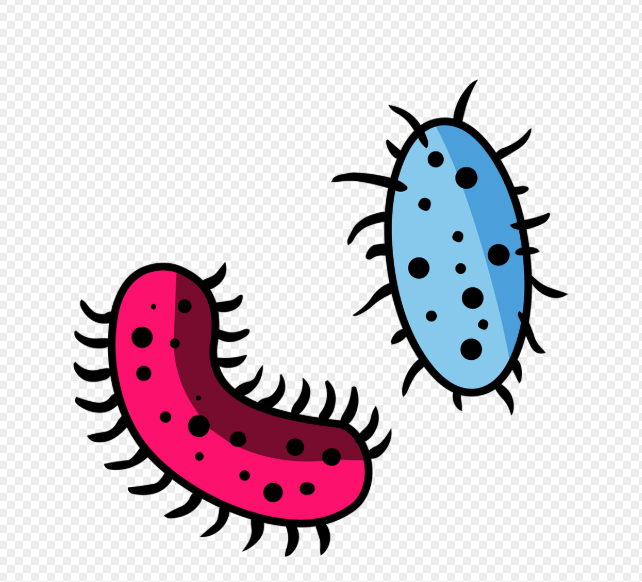 니파 바이러스란?