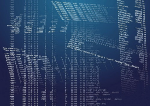 데이터 과학 입문자를 위한 필수 도구 및 프로그래밍 언어