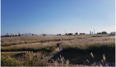 서울-하늘공원-억새축제-가는길.주차.일정안내-사진명소-사진맛집-총정리