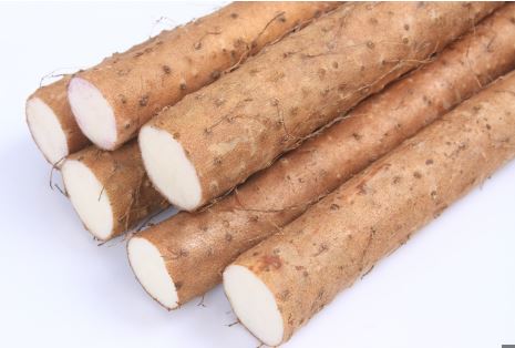 위궤양에 좋은 음식