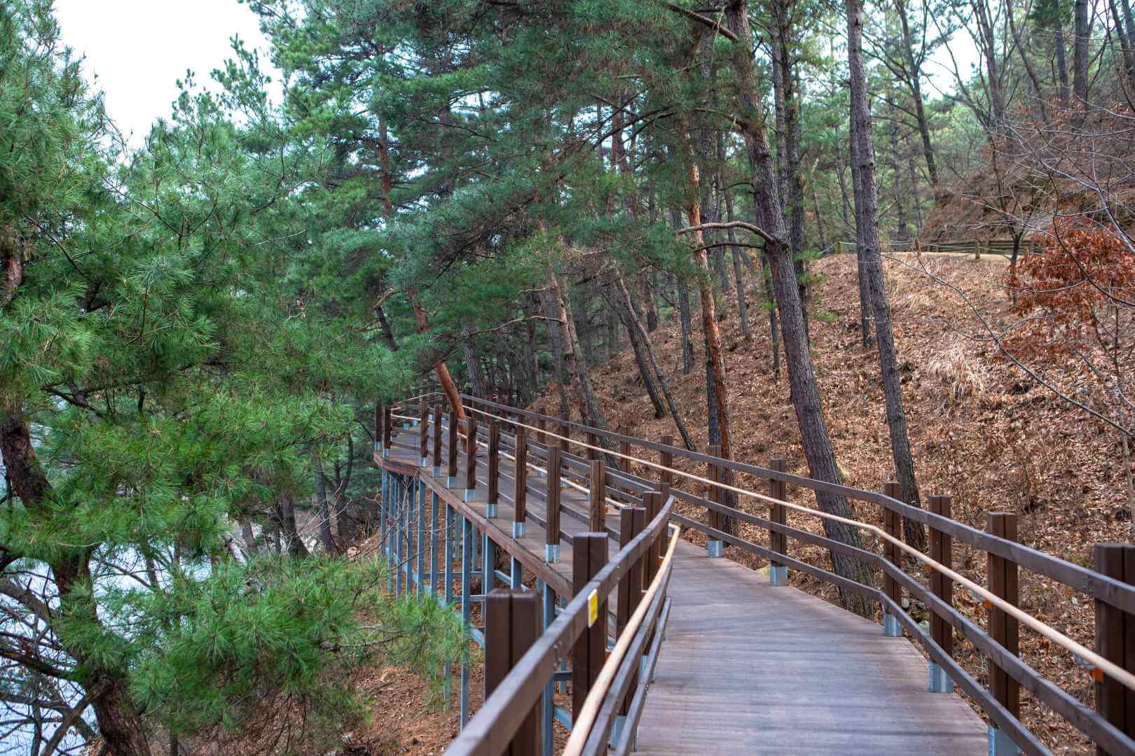 청남대 1박2일 체험교육 예약 방법 청남대 이용한 대통령