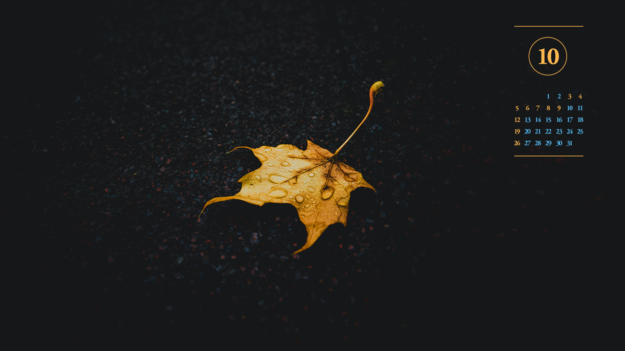 09 낙엽 A - 2025년10월 노트북배경화면