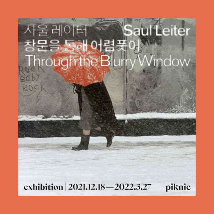사울 레이터: 창문을 통해 어렴풋이 전시 포스터