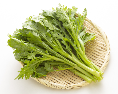 쑥갓의 영양과 효과 효능·조리법·보존법