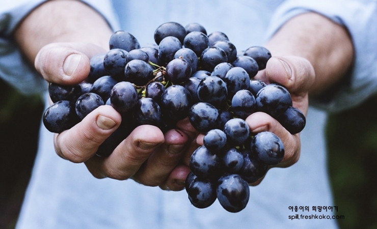 신장에 좋은 음식