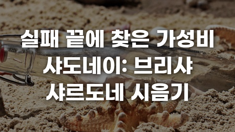실패 끝에 찾은 가성비 샤도네이 사진 1