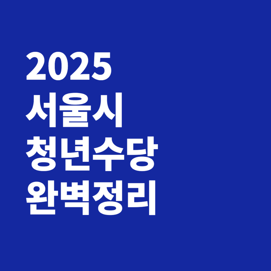 2025 서울시 청년수당 완벽정리