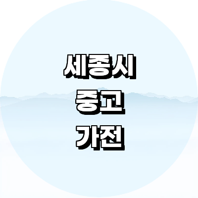 세종시 중고가전