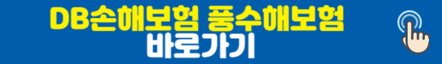 DB손해보험 풍수해보험
