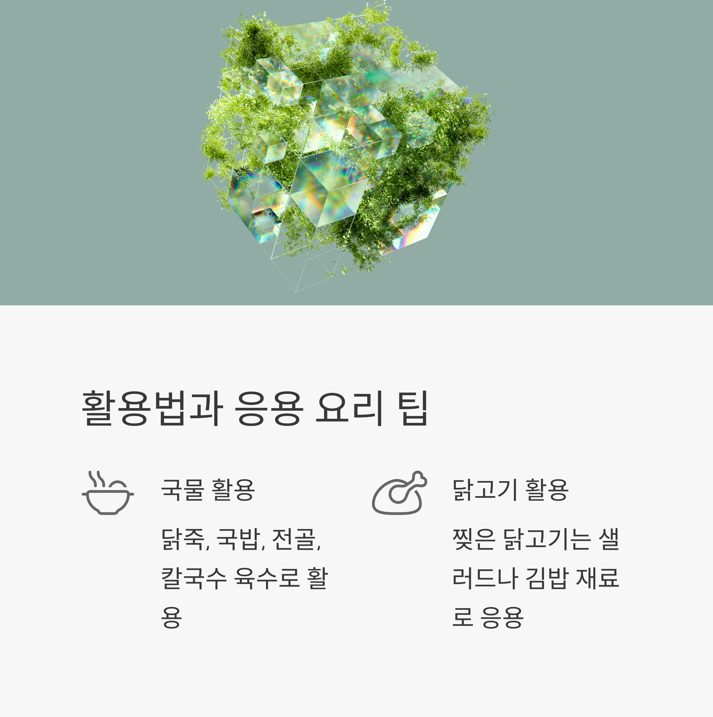 활용법과 응용 요리 팁 관련 사진