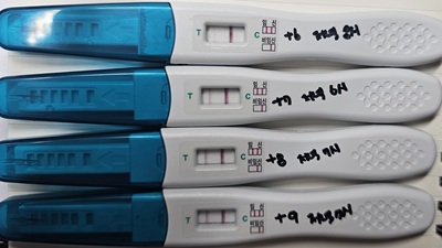 7일차부터 9일차 임테기 반응