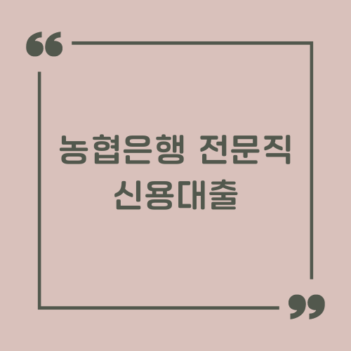 농협은행 전문직 신용대출