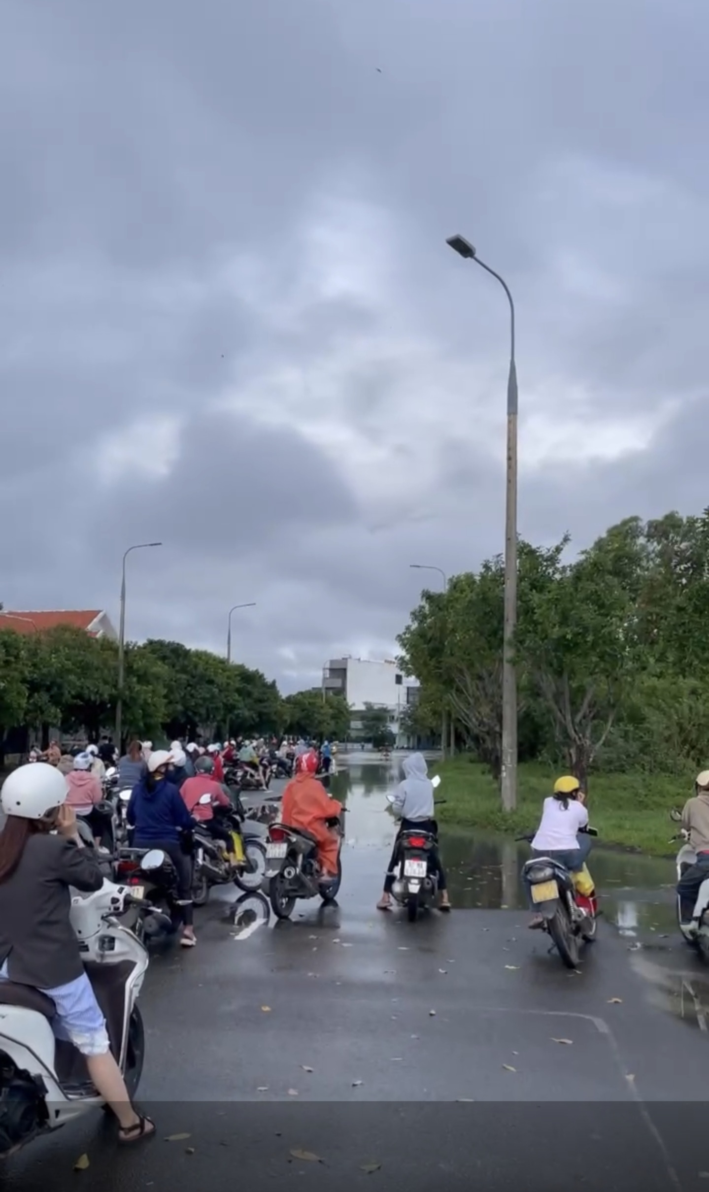 다낭 우기로 물에 잠긴 도로 앞에서 멈춰 선 오토바이 행렬