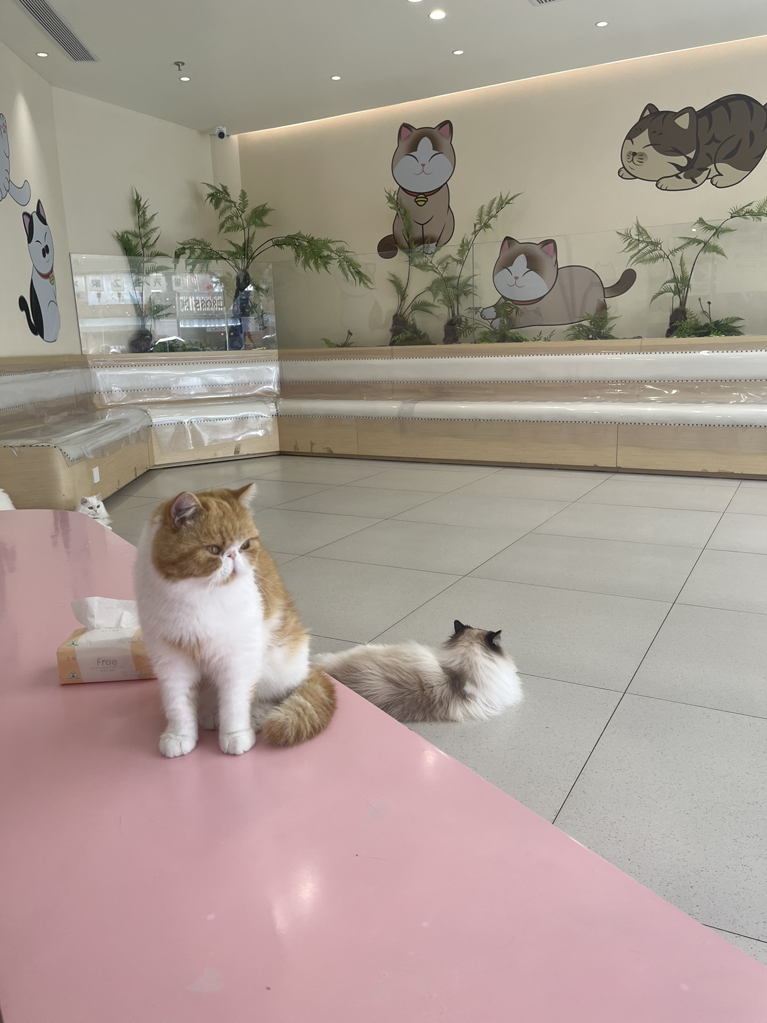 예원