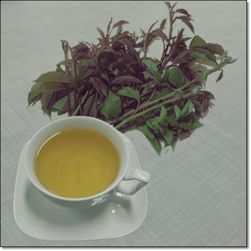 찔레순 차 효능
