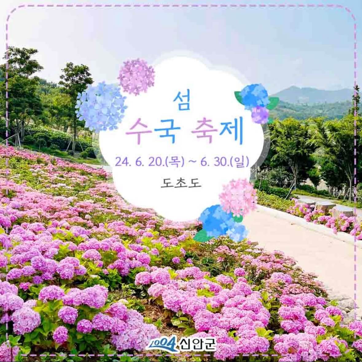 도초도 수국축제