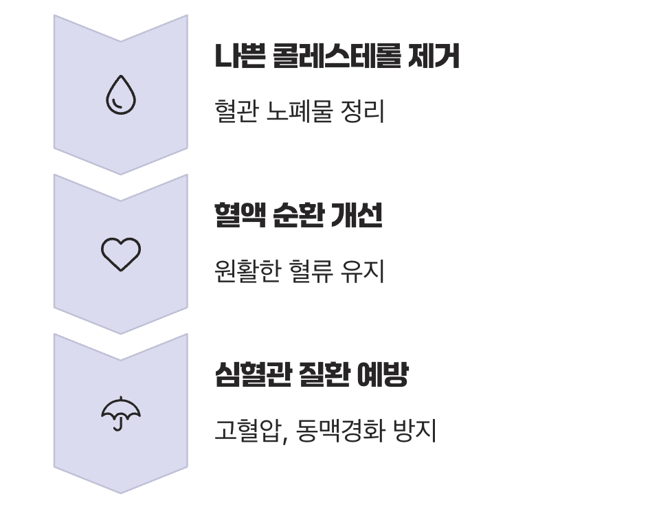 몸속 길을 깨끗하게&amp;#44; 혈관 청소부