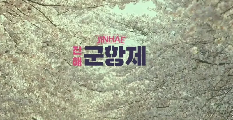 24년 진해 군항제