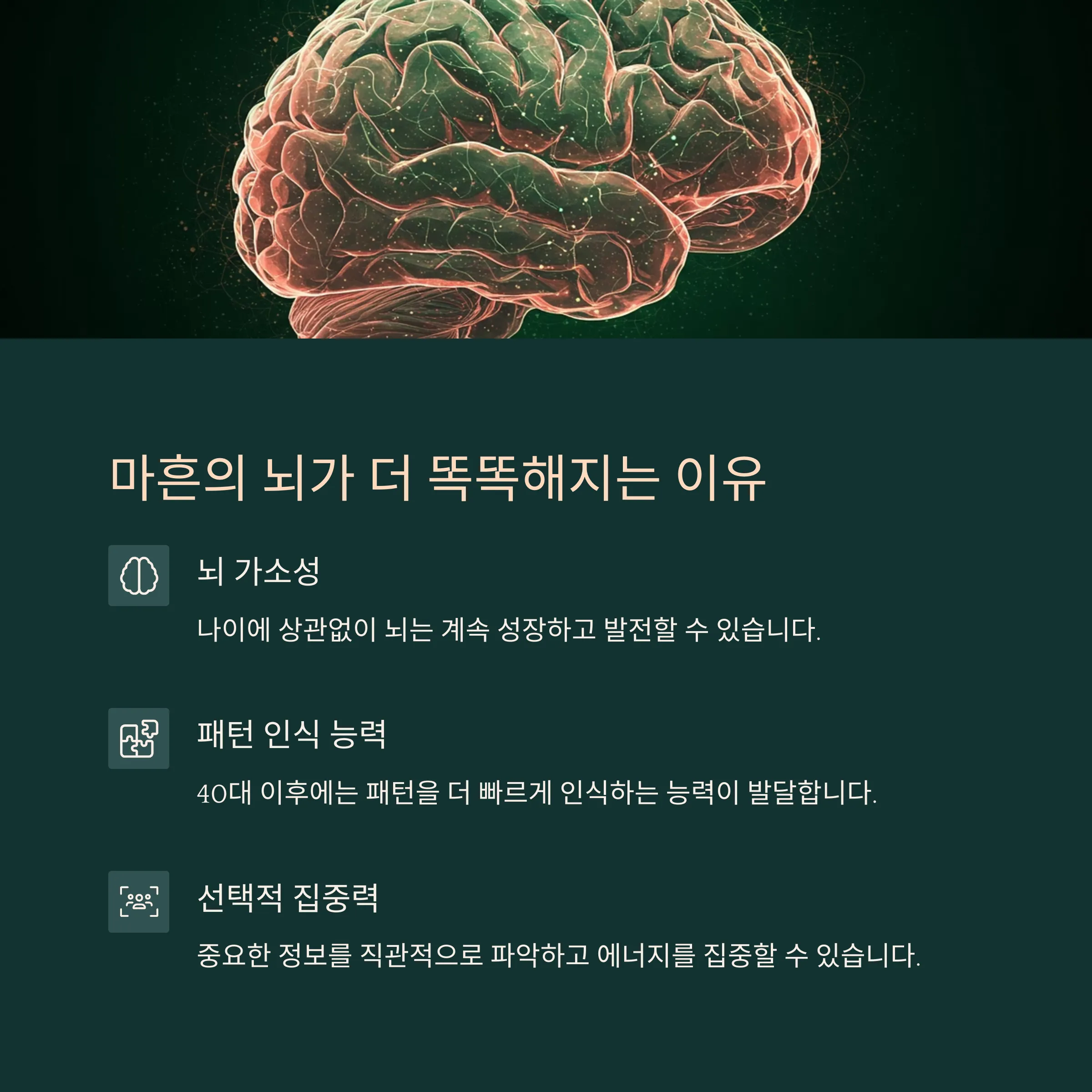 최적의 성인 학습법