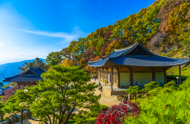 영주 vs 대구 생활비 체감 비교 &mdash; 실제 거주자가 느끼는 생활비 차이는 얼마나 될까?