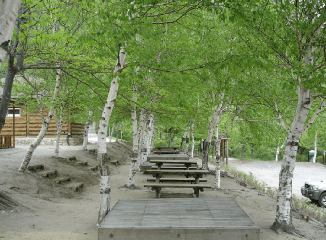 국립 대관령자연 휴양림