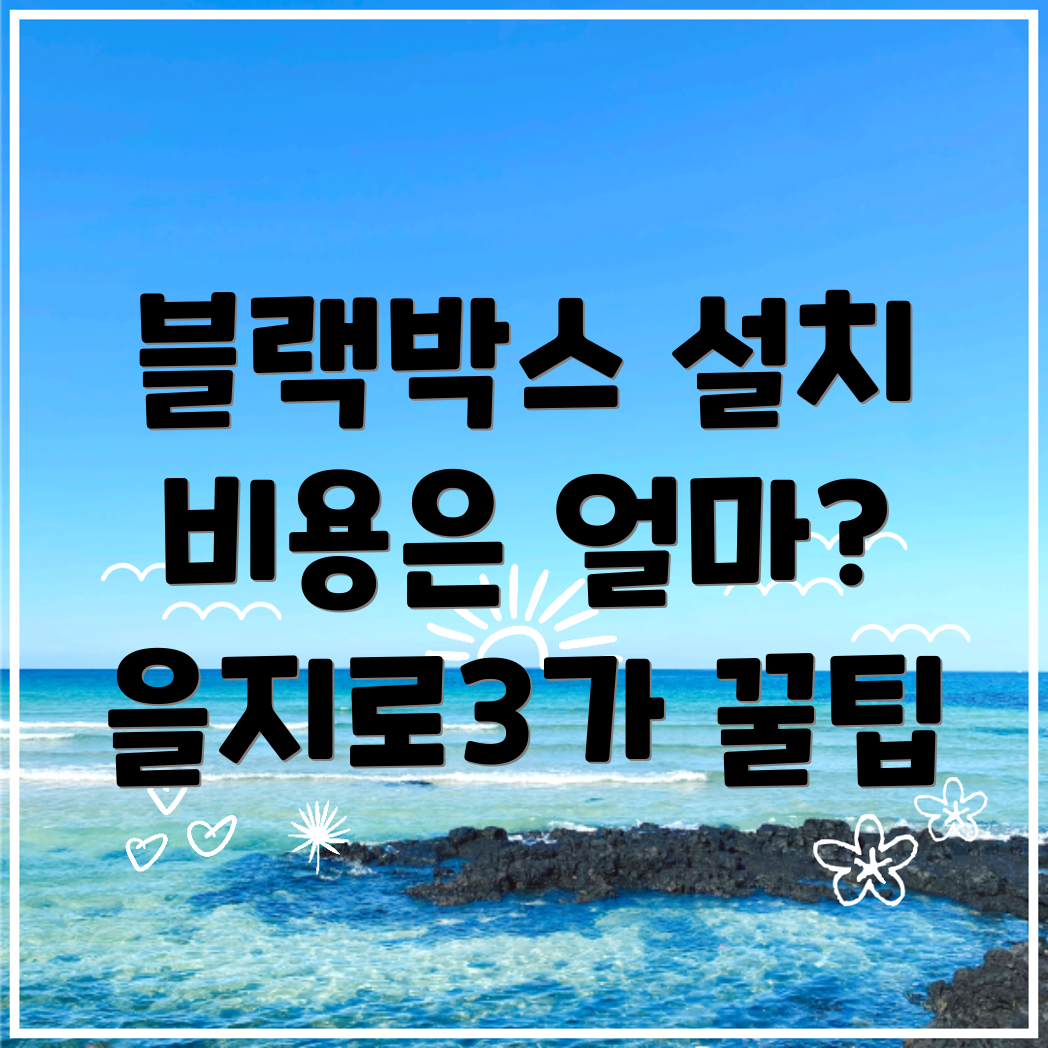 블랙박스 설치
