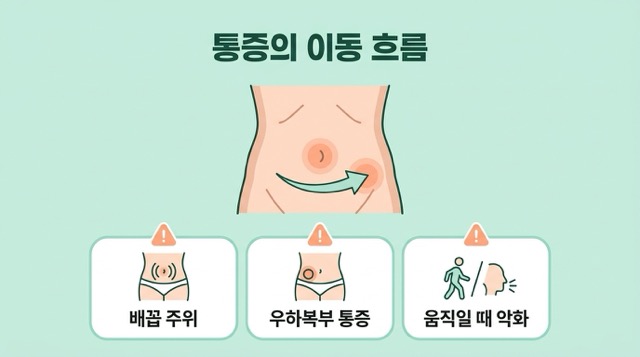 맹장염 초기증상 배꼽 주변 통증 오른쪽 아랫배 이동 설명