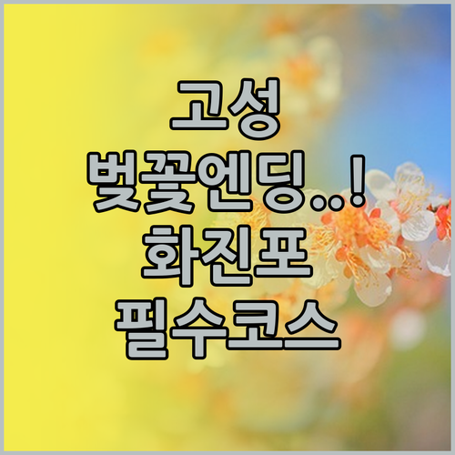 강원도 고성 벚꽃 엔딩 명소 화진포와..