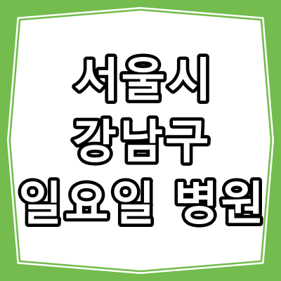 서울 강남구 일요일 진료하는 병원과 진료시간